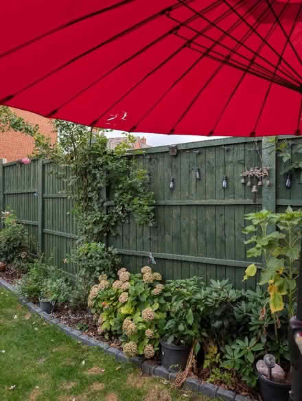 Photo of free Parasole & stand (Goffs Oak EN7) #2