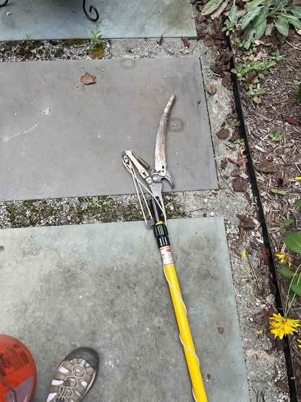 Photo of free Telescoping Tree Branch Trimmer (South REston) #2