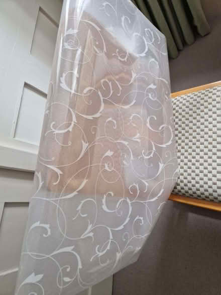 Photo of free Plastic window film (Old Town HP2) #3