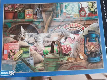 Photo of free jigsaw puzzle (Newbury RG14) #1