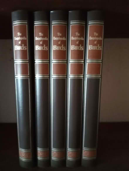 Photo of free Encylopedia Of Birds (Northway GL20) #1