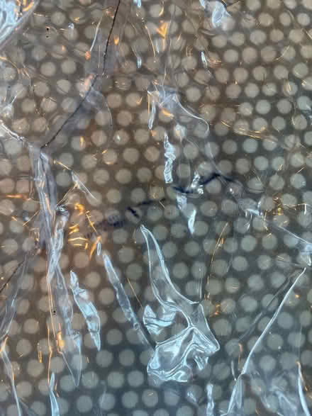 Photo of free Buggy rain cover (Bournville B30) #2