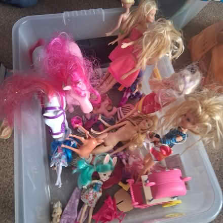 Photo of free Assorted Dolls and horses (Wickford SS12) #1