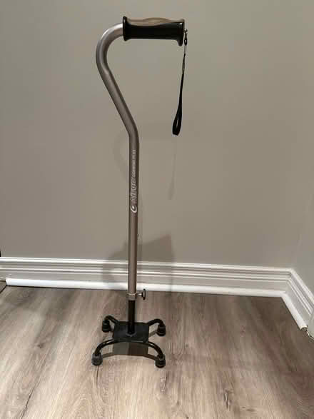 Photo of free Quad Cane (Aurora) #1