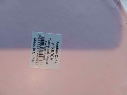 Photo of free Purple 'Bombay Duck' cup and saucer (Fords Farm RG31) #2