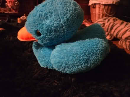 Photo of free Big blue duck (BS5) #1