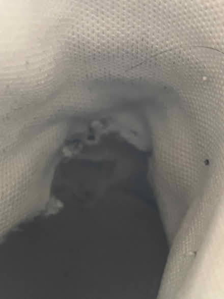 Photo of free Converse All Star - UK 4 (Kempston MK42) #2