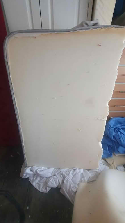 Photo of free Memory foam mattress sponge (Chichester Lavant PO18) #3