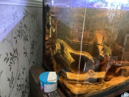 Photo of free Fish tanks (Lancaster willow lane) #1