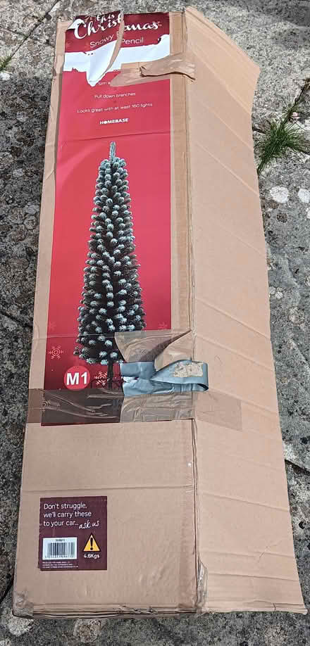 Photo of free 7ft Xmas tree (Bussage GL6) #1