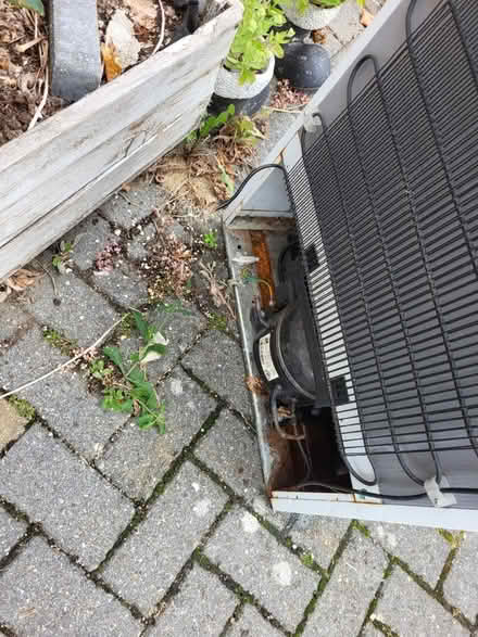 Photo of free Fridge freezer undercounter (Leyton, E10) #3