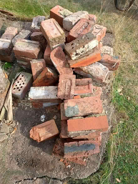 Photo of free Bricks for hardcore (Alvaston DE24) #1