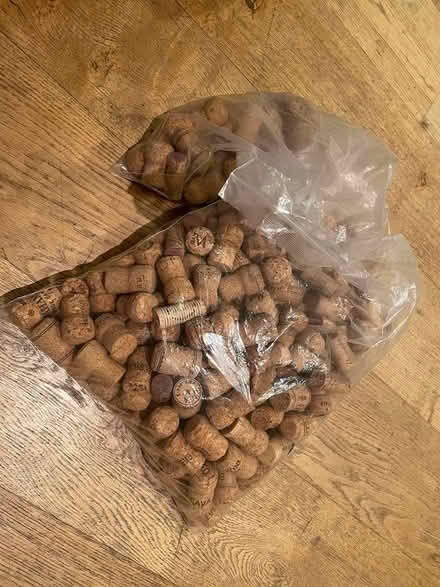 Photo of free Loads of corks (W12) #1