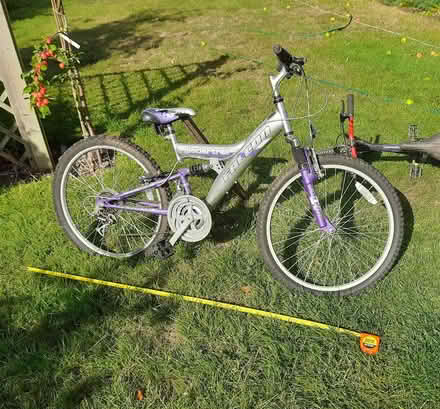 Photo of free Child's bicycle (Little Herberts GL53) #1