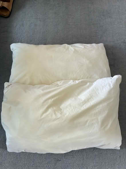 Photo of free Pair of Dorma pillows - used (Lewisham, SE13) #1