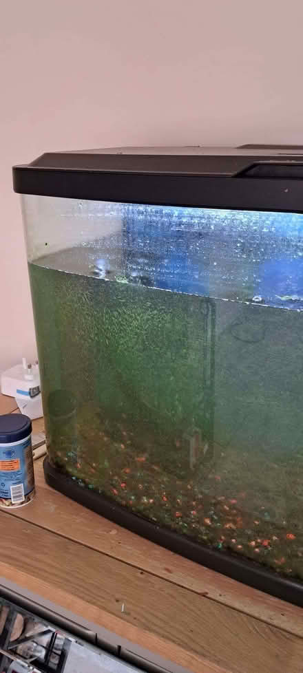Photo of free Fish tank (Shawbury SY4) #2