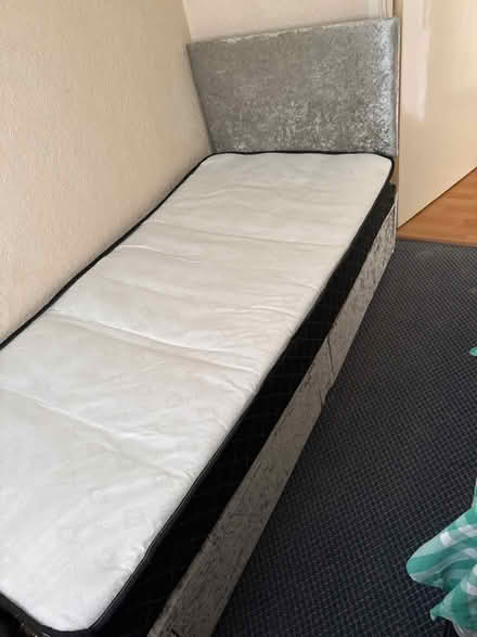 Photo of free Single bed (BN24) #1