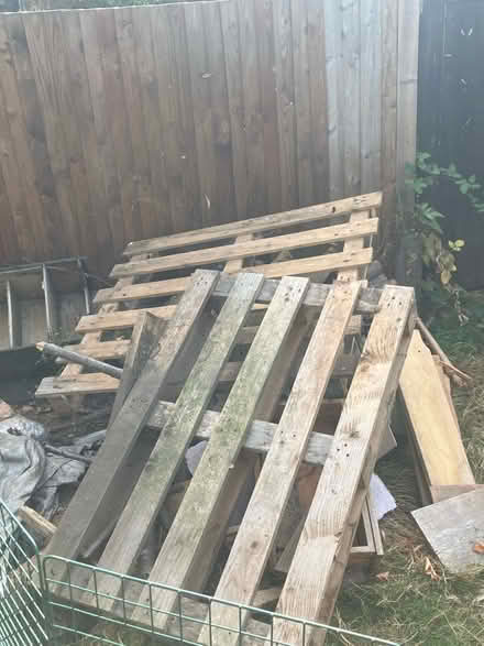 Photo of free Pallets (Wood Green N22) #2