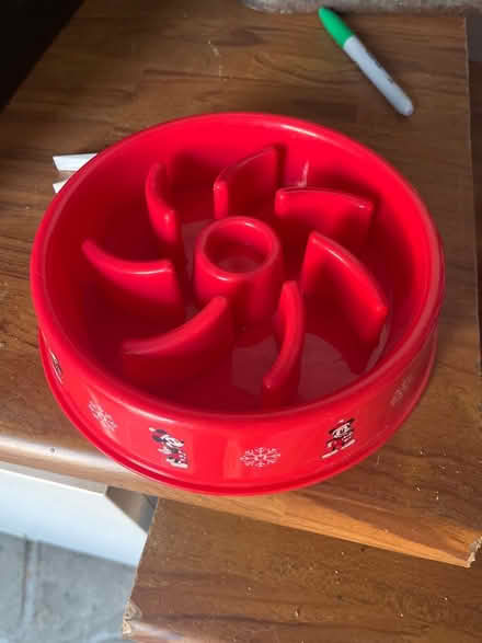 Photo of free Dog bowl (Gidea Park RM2) #1