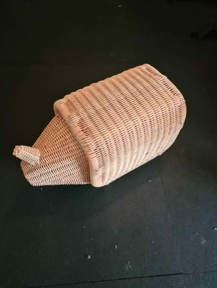Photo of free Rhino Wicker Storage thing (Thornliebank, G46) #1