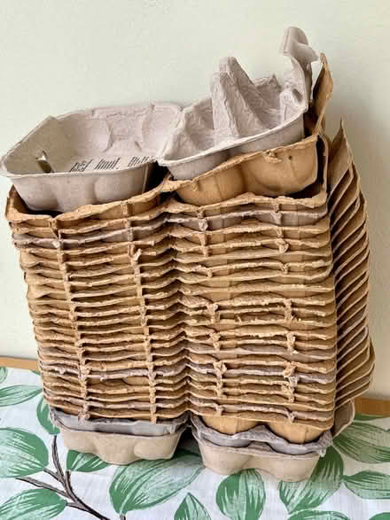 Photo of free Large Amount of Egg Boxes (Studley B80) #1