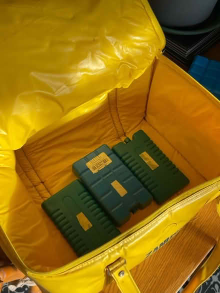 Photo of free Vinyl insulated cool bag (Scale Hall, Lancaster LA1) #2