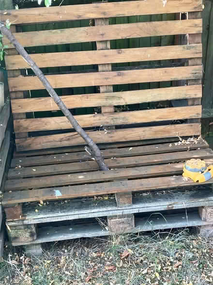 Photo of free Pallets (Wood Green N22) #1