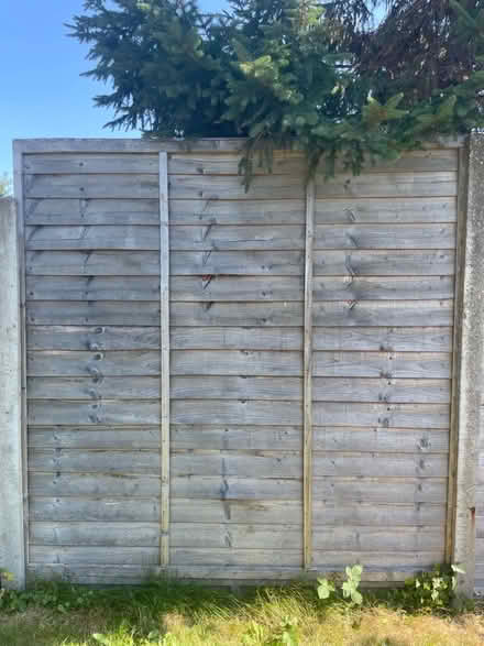 Photo of free 7, 6 x 6 fence panels (Old Town SG1) #1
