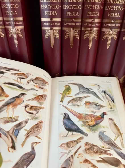 Photo of free Children’s Encyclopaedia Vintage (Seaford BN25) #3