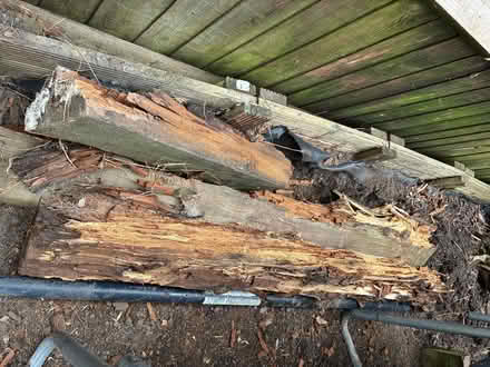 Photo of free Railway sleepers partially rotten (New Ash Green DA3) #4