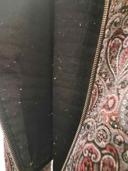 Photo of free Statement jacket (women, size M) (Weybridge KT13) #4