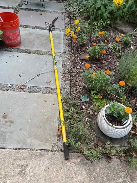 Photo of free Telescoping Tree Branch Trimmer (South REston) #3