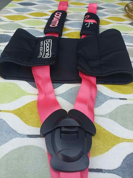 Photo of free 5 point anti escape system (Crays Hill) #1