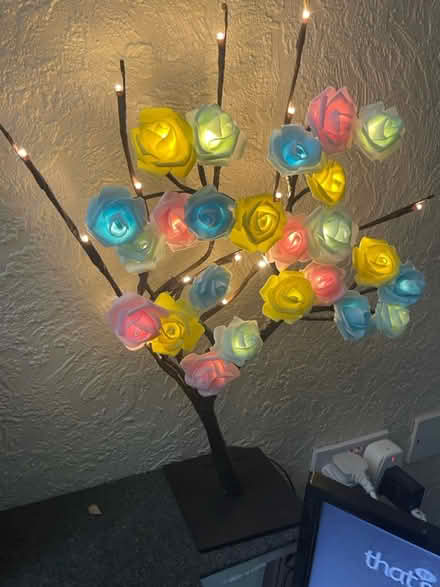 Photo of free Decor job lot (PR5 Clayton brook) #1
