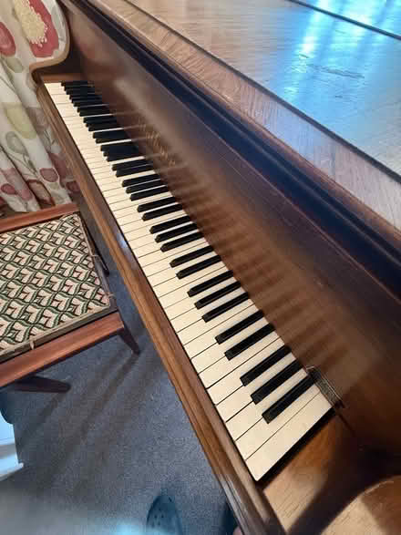 Photo of free Bluthner Piano (Alice Bright Lane area TN6) #3