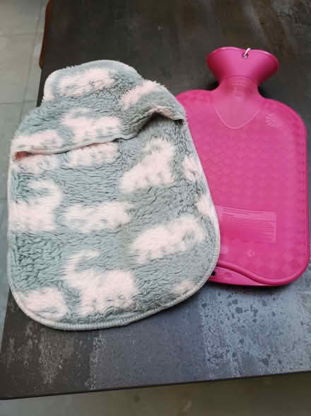 Photo of free Hot water bottle and dinosaur cover (Barbourne WR1) #1