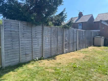 Photo of free 7, 6 x 6 fence panels (Old Town SG1) #2