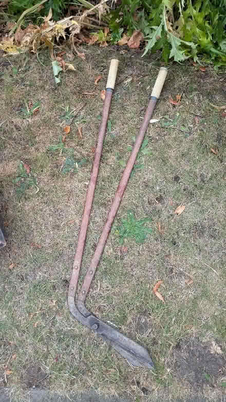 Photo of free Long handled garden shears (Leckhampton GL53) #1
