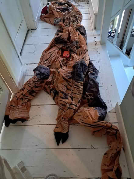 Photo of free Inflatable Trex Dinosaur Costume (Sevenoaks, TN13) #2