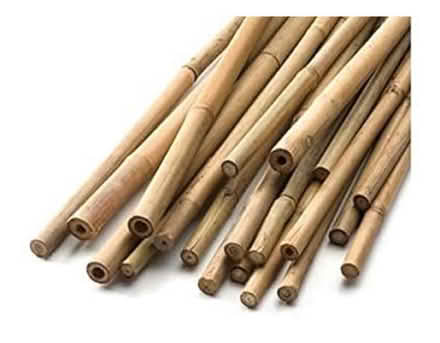 Photo of Bamboo/cane sticks (Cowley road OX4) #1