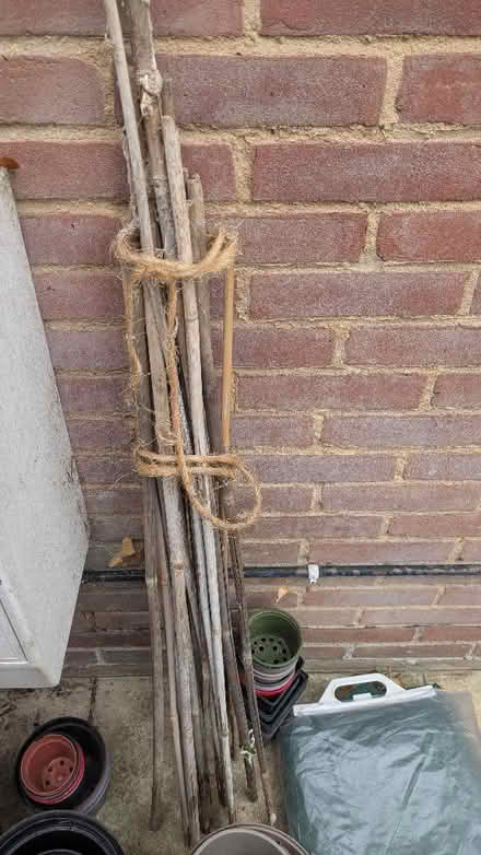 Photo of free Garden canes (Leckhampton GL53) #1