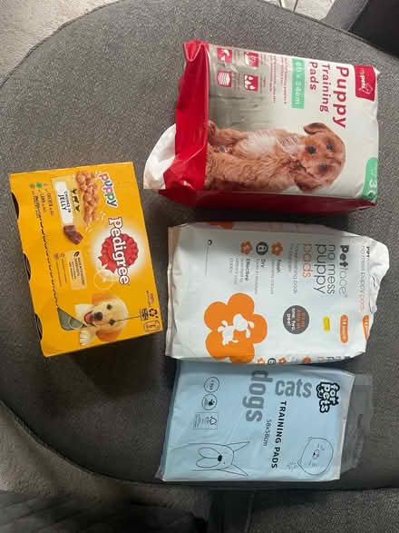 Photo of free Puppy food and training pads (Woodford, IG8) #1