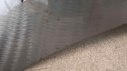 Photo of free Mirror (Allington ME16) #4