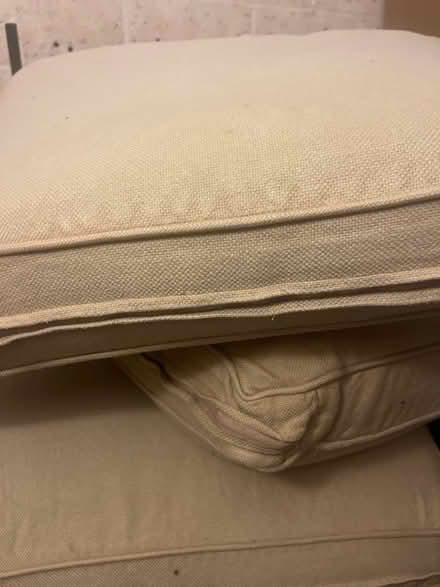 Photo of free Large cushions - pet beds (RG6) #3