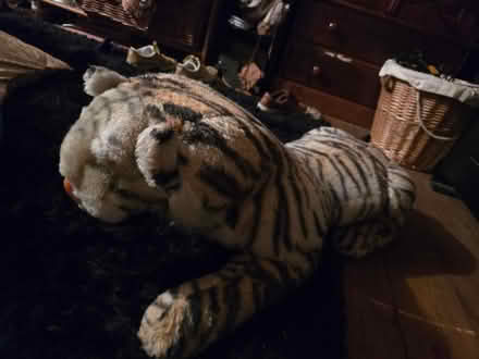 Photo of free Vintage esso stuffed tiger (BS5) #2