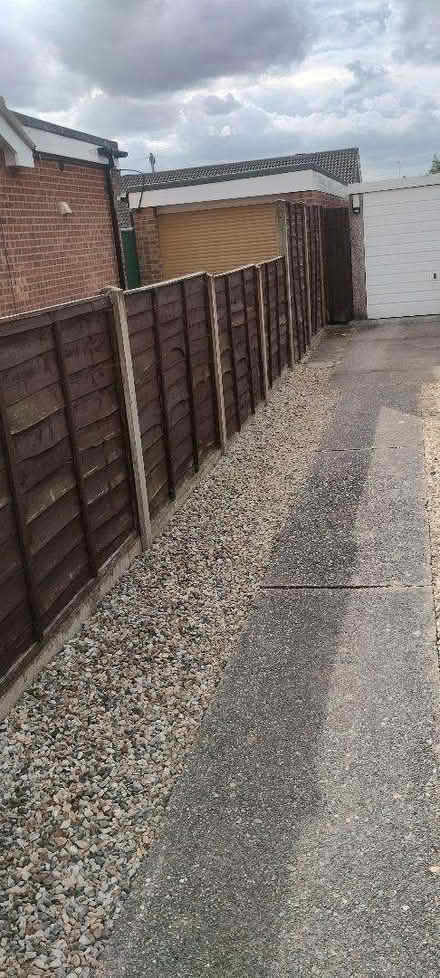 Photo of free Fence Panels (Catton NR6) #2