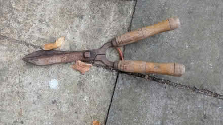 Photo of free Small garden shears (Leckhampton GL53) #1