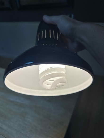 Photo of free Working Lamp (Roselle, Il) #4