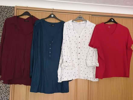 Photo of free Ladies clothes (St Leonards-on-sea TN38) #1