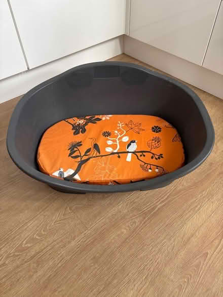 Photo of free Large dog bed (Broomgrove TN34) #1